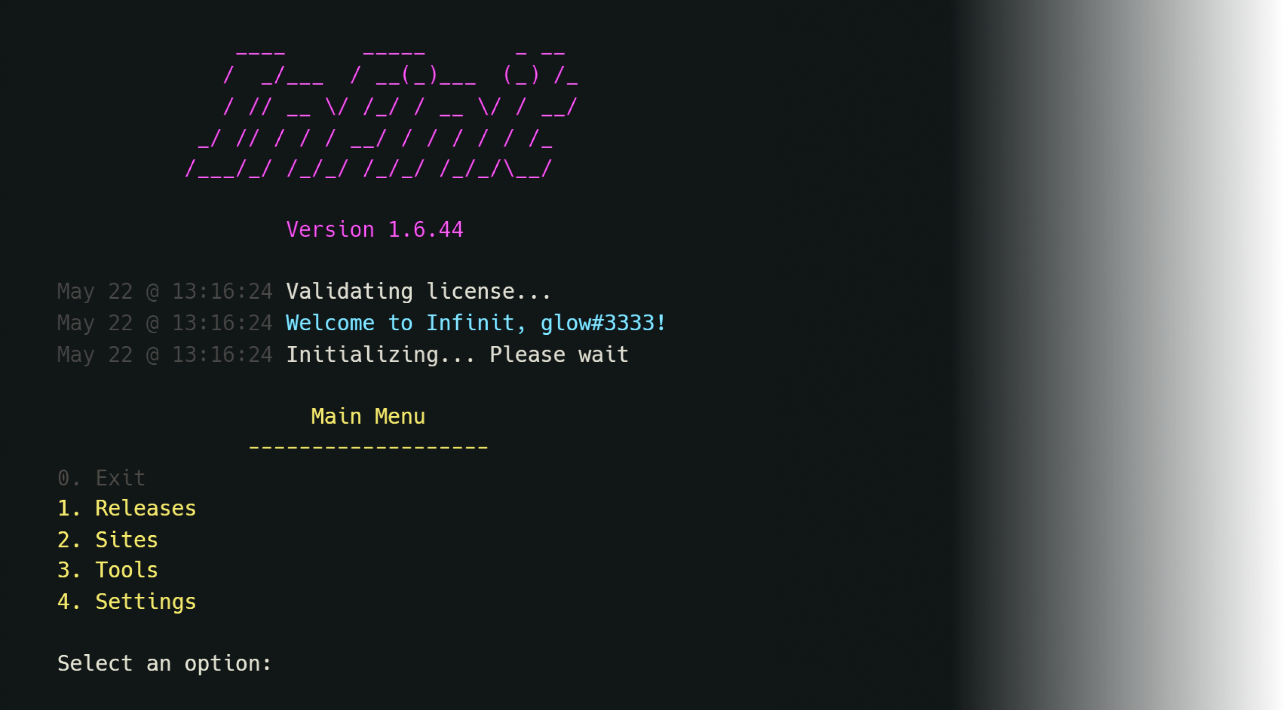 Infinit Raffle Bot UI image